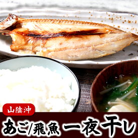 天日干し「角アゴ開き」【冷凍】大　1枚×約150-199g程度【浜坂産】（干物・あご・とびうお・トビウオ・飛魚）