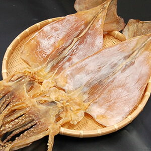 北海スルメ(国産)Mサイズ 1枚入り(70g前後)(メール便限定・送料無料)(ゲソ付 するめ 無添加 寿留女 大判 大きい サイズ)