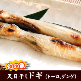 天日干し「ドギ（トーロ・ゲンゲ）」（冷凍）300g（浜坂産）（干物、げんげ、グベ、ノメ、ヌメ、とうろ、とーろ、水魚）