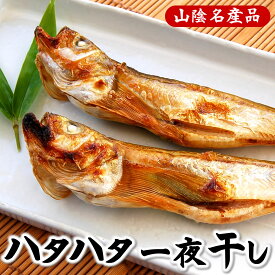 ハタハタ一夜干し（冷凍）　小　500g入（15-20尾程度）（干物・はたはた・白ハタ）