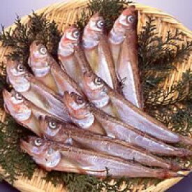 楽天市場 白ハタの通販