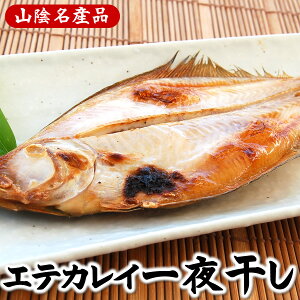 ꂢ銱iⓀj@25`27cmx@6@Hׂ₷TCYiACeJCAĂꂢAĂꂢAGeJCAՁAJCj