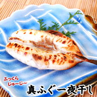 天日干し真フグ肉厚（冷凍）大　2尾入（500g前後）（兵庫県産）（河豚・ふぐ・干物・一夜干し）