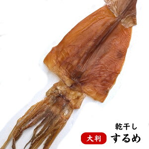 X  LTCY@1(100g)i[֌EjiQ\t  Y  唻 傫 TCY j