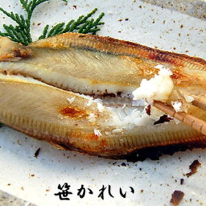 VuJCviⓀj@1@75-90gx@ylYz@iꂢEꂢETTJCj