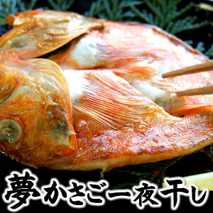 JyⓀz@1@100-130gxylYzmhOɕȂ!!iAJTSALLj