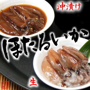 yzz^CJƃz^CJЂiⓀj@e2PZbg@ylYz@iق邢EuGj̓