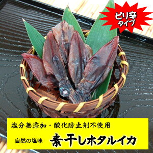 y[֌著zshEEfz^CJ@2×20gyRAlYzƂh݂܂I`bNt܁BA|CgɂǂBiق邢Az^C