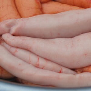 ̔qyⓀz250-300gylYzTA