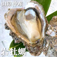 天然岩牡蠣（生）　大きめ　4～5個　【山陰沖産】（かき、カキ、イワガキ、いわがき、イワカキ、いわかき…