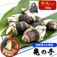 亀の手（カメノテ）【冷凍】中大サイズ　500g　【兵庫県浜坂産】カメの手 かめのて ペルセベス 酒の肴 ア…