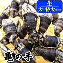 新物　亀の手（カメノテ）【生】　希少な大〜特大サイズ　約500g【兵庫県浜坂産】カメの手 かめのて ペルセベス 酒の…