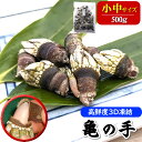 亀の手（カメノテ）【冷凍】小中サイズ　500g　【兵庫県浜坂産】カメの手 かめのて ペルセベス 酒の肴 アテ つまみ 甲…