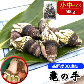 亀の手（カメノテ）【冷凍】小中サイズ　500g　【兵庫県浜坂産】カメの手 かめのて ペルセベス 酒の肴 アテ つまみ 甲殻類 簡単レシピ付き 珍味 採れたて 新鮮 希少 フジツボ
