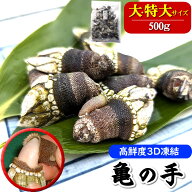 亀の手（カメノテ）【冷凍】選りすぐり大〜特大サイズ　500g入【浜坂産】超希少なレアサイズです！