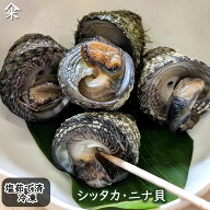 ニナ貝（しったか・みな貝） ボイル済 冷凍 小～大 サイズ混ざり 約450g 浜坂産/舞鶴産 下処理済み 解凍…