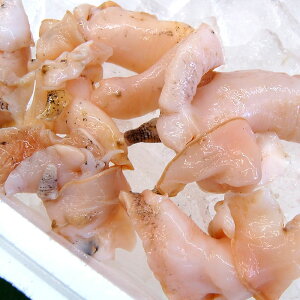 EoCނgiⓀj100gilYjMpizoCEGb`EoCEイ΂E΂E΂LEVoC j