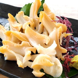 生・白バイむき身（冷凍）約110-130g（兵庫県産）刺身用　生食可（越中バイ・エッチュウバイ・えっちゅうばい・しろばい・ばい貝・シロバイ ）