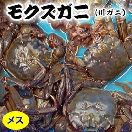 楽天市場 その他の生蟹 モクズガニ 川ガニ 毎日漁港へ目利き一筋 かにの山米