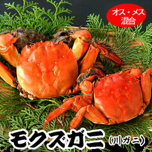 _lZ[^󂠂 VRNYKji{CⓀjIXEX 750gi4-7COjTCYs ɌY CKj CI NYI   Y Y I 