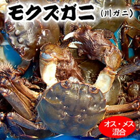 楽天市場 上海蟹の通販