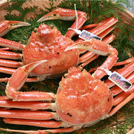 山陰 浜坂産 タグ付き茹で松葉がに (姿) 【冷凍】2尾×約400〜500g程度 松葉ガニ ボイル 松葉 ガニ 松葉蟹 ボイルガニ ギフト ボイルズワイガニ ズワイガニボイル ボイルずわい蟹 ボイルカニ 国産ズワイガニ お返し 高級グルメ お取り寄せグルメ ごちそう ズワイガニ姿通販