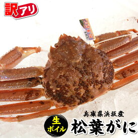 とれたて 訳あり 松葉ガニ 1枚 生 ボイル 兵庫県 浜坂産 【着日指定不可】送料無料 松葉蟹 松葉かに 松葉カニ 蟹 ズワイガニ ずわいがに 国産 プレゼント お歳暮 冬ギフト 海鮮 冷蔵 生カニ 生ズワイガニ 姿 ずわい蟹姿 生ズワイカニ カニ味噌入り 訳あり蟹 ズワイガニ通販