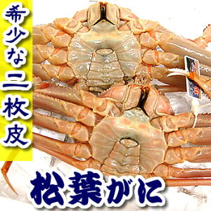 (񖇔) t {C Ⓚ 1 600gO lY tI Y I Jj  {Cς 䥂  ⓀI ⓀO ⓀCN 񂹃O YI ⓀYCKj YYCKj