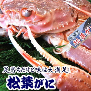 1{ t yor{CzŏドN  1 1.0-1.2kg O ^Ot RA ɌlYyz 󂠂 t tJj tKj Ε Mtg  {C Ɏh Jj