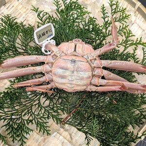 ᑦ^Ot ZRKj 󂠂yor{Cz`TCY@1CyɌ lYzitKjXAeKjAɁAZRAqKjAAIA؁ARbyA