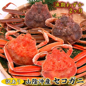 ƂꂽĖ󂠂EZRKjij@@6 yɌlYzywszyziL PA 킯 R eKjAeɁAɁAqKjAIA؂