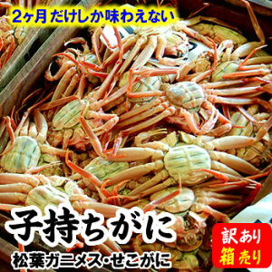 yz󂠂EZRKj@TCY@1i20j@[ƗpEɌlY] @ywsz@iqKjAeKjAeɁAɁAZRKjAIA؂ɁARb