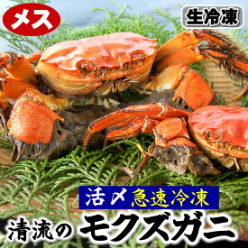 天然モクズガニ【生冷凍】メス　1匹　120-139g程度【国産（兵庫県産）】（ツガニ、ケガニ、カワガニ、ヤマタロウガニ、もくずがに、川がに）