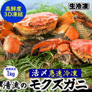iZ[jVRNYKjyⓀzY@1kgOi5-9COj@召@yYiɌYjziYNx3D}ⓀjicKjAPKjAJKjA}^EKjA