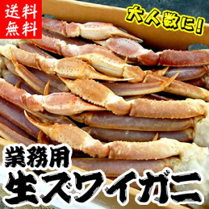 yz킢ɑyEⓀz fJTCY 5LTCY 5kgOi11-12jysz YCKj Jj ĂKj  Ⓚ Jj I YCKj YCI YC Ⓚ
