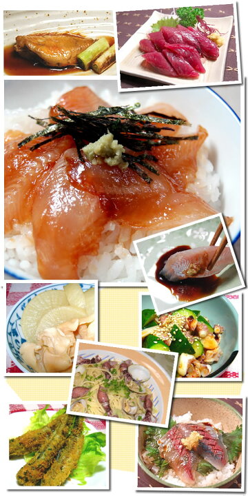 楽天市場】【送料無料】山陰直送「朝とれおまかせ鮮魚・魚介8640円(税込)詰合せセット」(丸のまま・下処理なし)(詰め合わせ、鮮魚ボックス、魚介セット) : 毎日漁港へ目利き一筋!かにの山米 楽天市場】【送料無料】山陰直送「朝とれおまかせ鮮魚・魚介8640円(税込)詰合せセット」(丸のまま・下処理なし)(詰め合わせ、鮮魚ボックス、魚介セット) : 毎日漁港へ目利き一筋!かにの山米