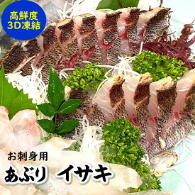 刺身用　炙りイサキたたき（冷凍）片身分（90-119g）【兵庫県浜坂産】旬のイサキを刺身用に捌きました（さしみ、いさき、イサギ、フィレ、タタキ）