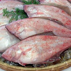 鰈 魚の人気商品 通販 価格比較 価格 Com