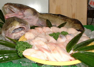 楽天市場 鮮魚 は行 は ババア キツネダラ タナカゲンゲ 毎日漁港へ目利き一筋 かにの山米