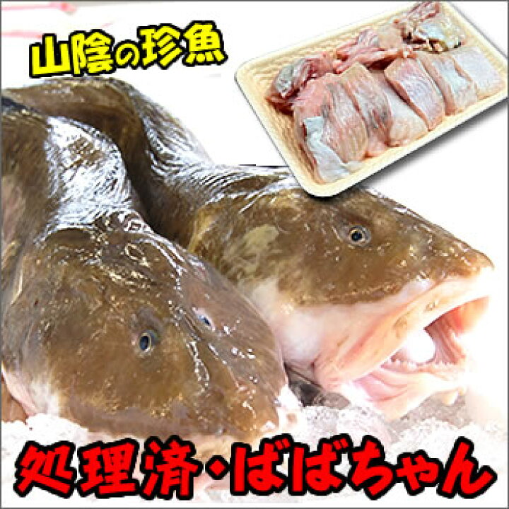 楽天市場 山陰の珍魚ばばちゃん 鍋用処理済 冷凍 750 800ｇ 3人前 大きなババアを捌きました ババア タナカゲンゲ キツネダ きつねだら たなかげんげ ばばあ 毎日漁港へ目利き一筋 かにの山米