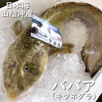 楽天市場 鮮魚 は行 は ババア キツネダラ タナカゲンゲ 毎日漁港へ目利き一筋 かにの山米