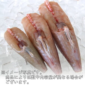 S}tOނgyⓀz@1-3Ŗ800~850g@ylYz@召@^pbN@i܂ӂA͓؁j