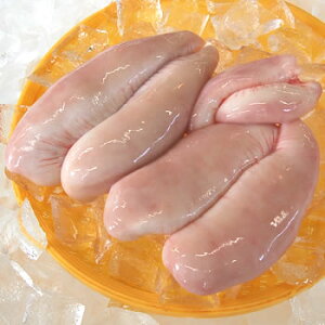 VR@S}tOqiⓀj250-300giRAlYji܂ӂA͓؁Aӂj