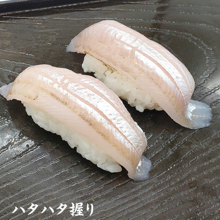 楽天市場 お刺身用 生とろハタハタ スキンレスフィレ 冷凍 約60g入 山陰浜坂産 脂がのったハタハタをお刺身用に下処理しています はたはた 白ハタ 毎日漁港へ目利き一筋 かにの山米
