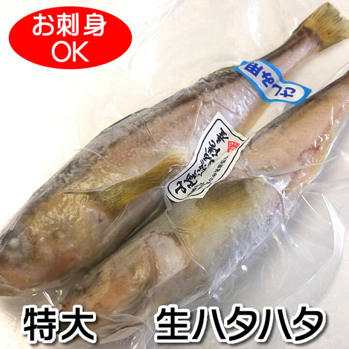 楽天市場】お刺身用とろハタハタ(船内冷凍)特大サイズ 2尾入 (浜坂産) 獲れてすぐ船で急速冷凍しました。(はたはた・白ハタ・白はた) : 毎日漁港 へ目利き一筋!かにの山米 楽天市場】お刺身用とろハタハタ(船内冷凍)特大サイズ 2尾入 (浜坂産) 獲れてすぐ船で急速冷凍しました。(はたはた・白ハタ・白はた) : 毎日漁港 へ目利き一筋!かにの山米