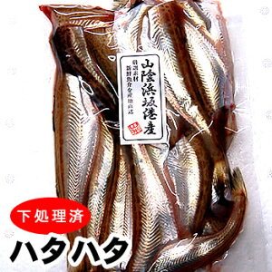 ハタハタ 生の人気商品 通販 価格比較 価格 Com