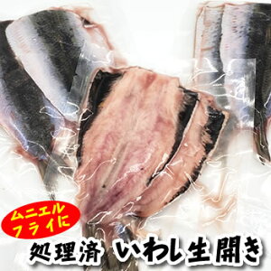 いわし 100g 魚の人気商品 通販 価格比較 価格 Com