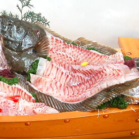 刺身用　旬・天然ヒラメの柵（冷凍）120-139g　エンガワ付（山陰浜坂産）美味しい時期の平目を刺身用に捌きました。解凍して切るだけでお刺身が食べられます（さしみ、ひらめ、冊、えんがわ）