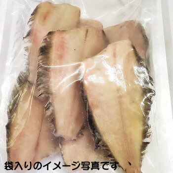 楽天市場 鮮魚 か行 か カレイ類 ヤマガレイ 山ガレイ ヒレグロ ベランス ベラカレイ 毎日漁港へ目利き一筋 かにの山米