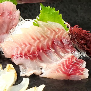 魚 イサキの人気商品 通販 価格比較 価格 Com